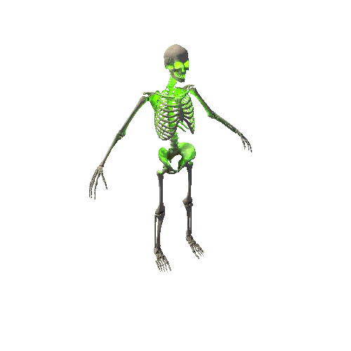Skeleton_04