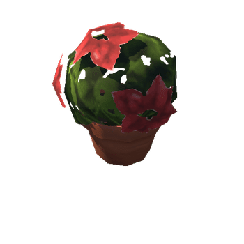 Poinsettia_02