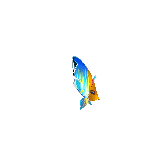 ButterFlyFish_05