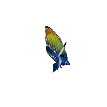 ButterFlyFish_06