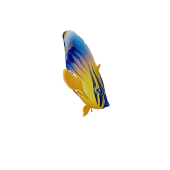 ButterFlyFish_10