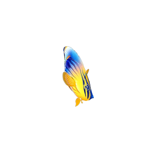 ButterFlyFish_10