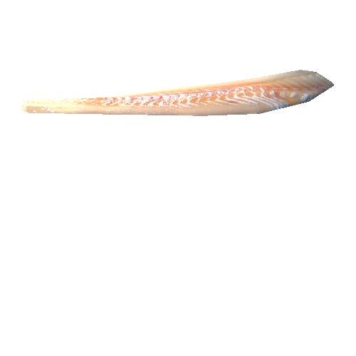 Product_Cod_fillet02