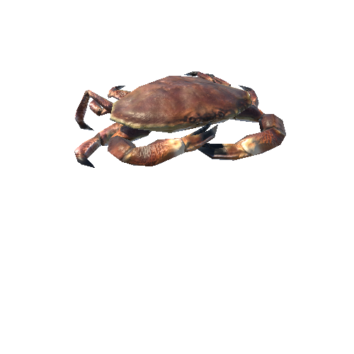 Product_crab