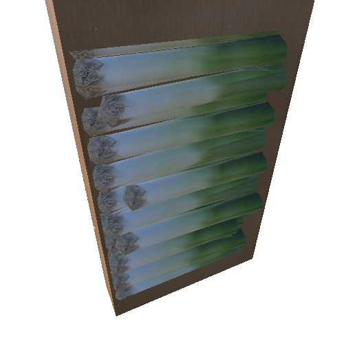 carton_box_leek