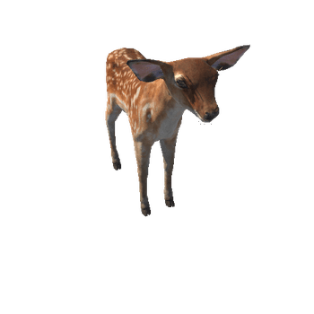 Deer_calf_LODs_IP