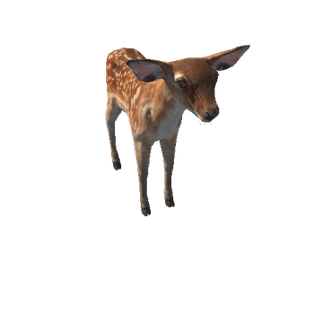 Deer_calf_LODs_RM