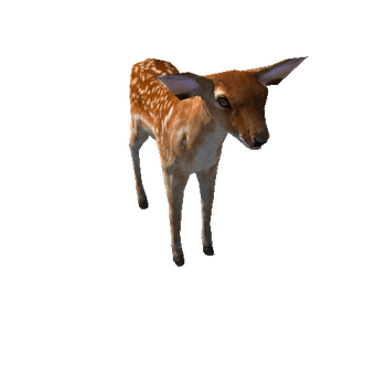 Deer_calf_LowPoly_IP