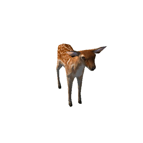 Deer_calf_LowPoly_IP