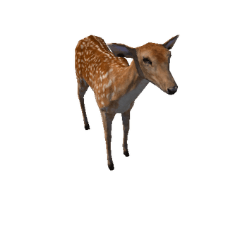Deer_doe_LowPoly_RM