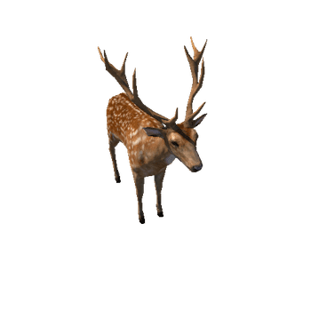 Deer_stag_LowPoly_IP