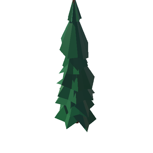 Spruce_002