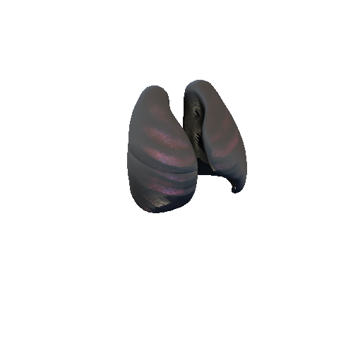 Lungs_1_2