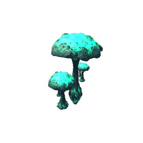 AC_FungusGroup03b