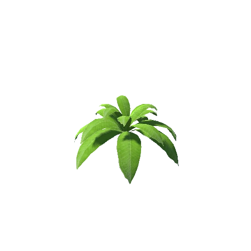 Plant_02