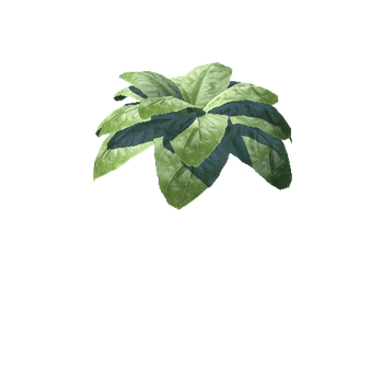 Plant_04