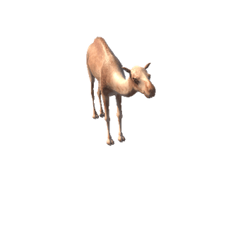 CamelLowPoly