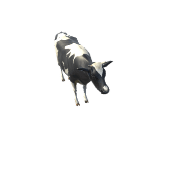 CattleLowPoly