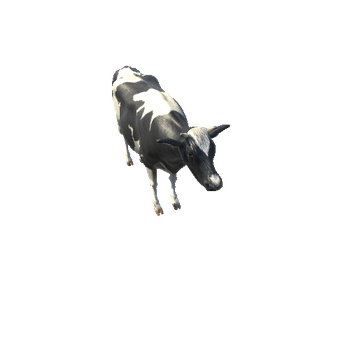 CattleMiddlePoly