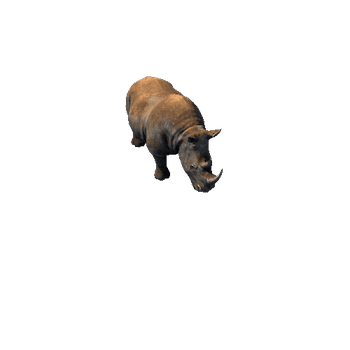 Rhino2_IP_HP_dirt