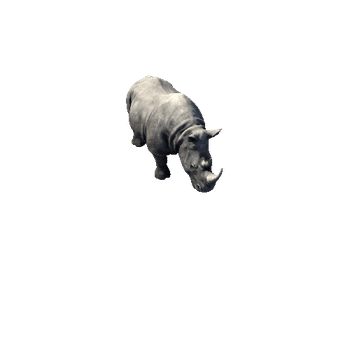 Rhino2_IP_SHP