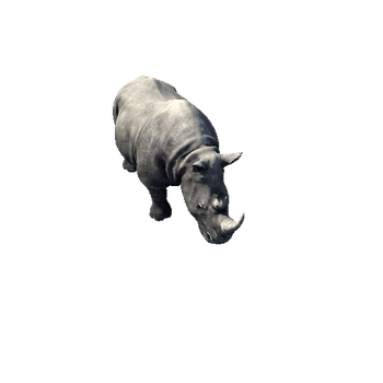 Rhino2_RM_SHP