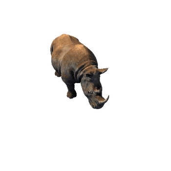 Rhino2_RM_SHP_dirt