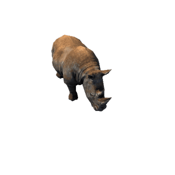 Rhino2_RM_SLP_dirt