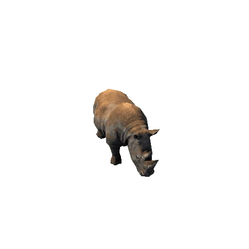 Rhino2_RM_SLP_dirt