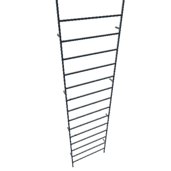 B3_Ladder