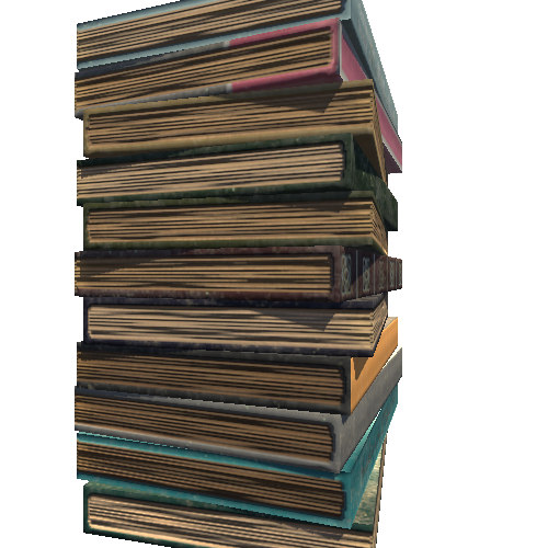 BookStack11