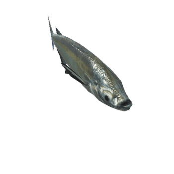 sabrefish