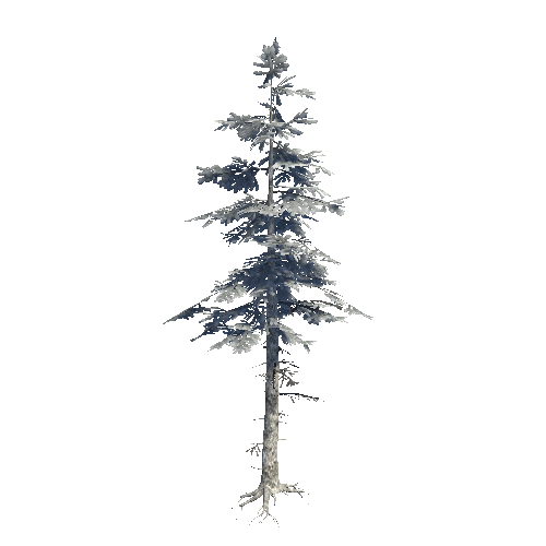 Fir_07_Forest_cheap_Static_Snow