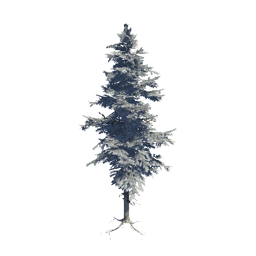 VS_Static_Snow_Fir_03_Medium