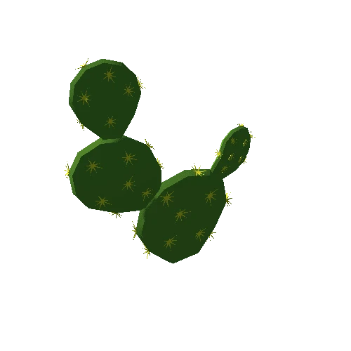 cactus01_m