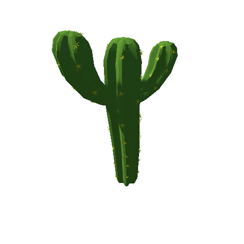 cactus02_m