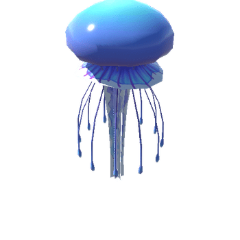 Jellyfish