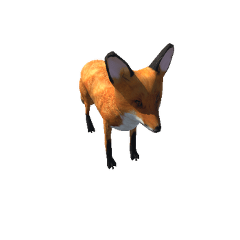 Fox