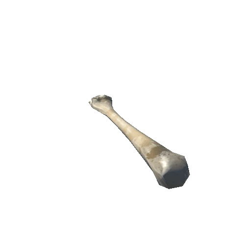 Bone03