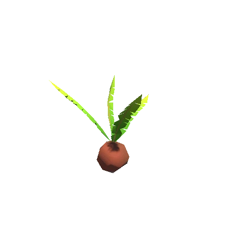 Coconut_Plant