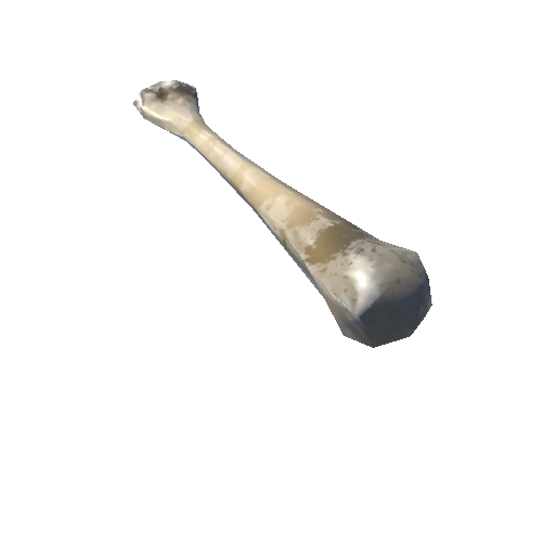 Bone03