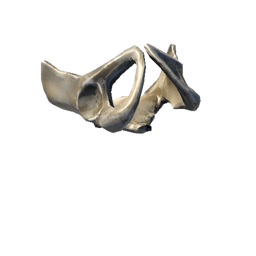 Bone06