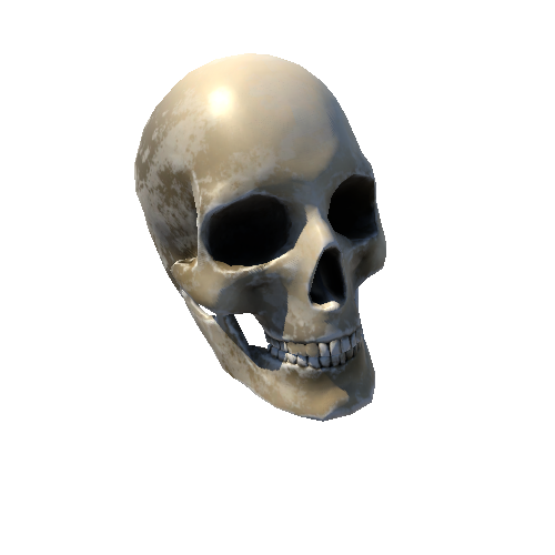 Bone10