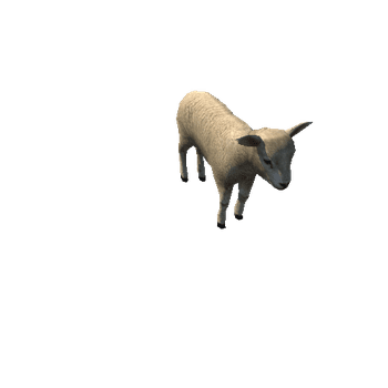 Lamb_v01