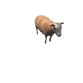 Sheep_v01