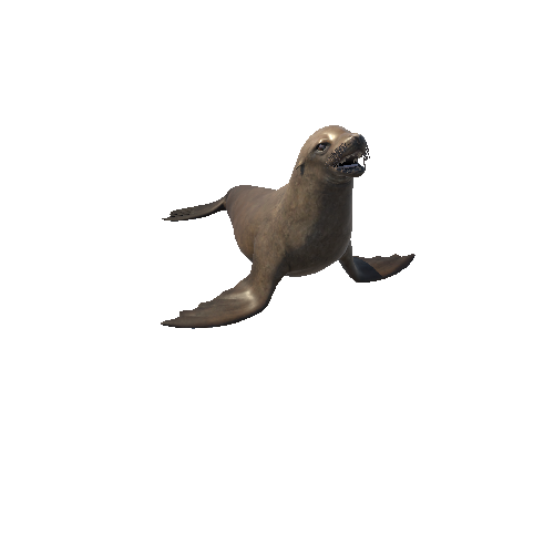 BB_Sea_Lion_FV_RM_SHP_LOD