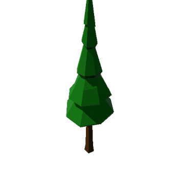 Spruce_Medium_1