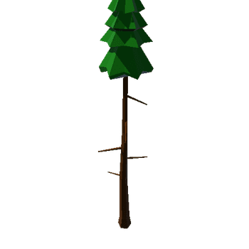 Spruce_Tall