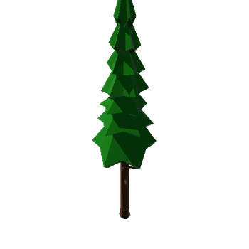 Spruce_Tall_1