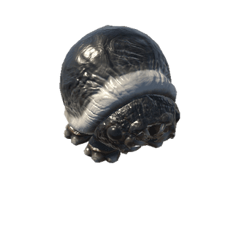 Helmet_Bug_2